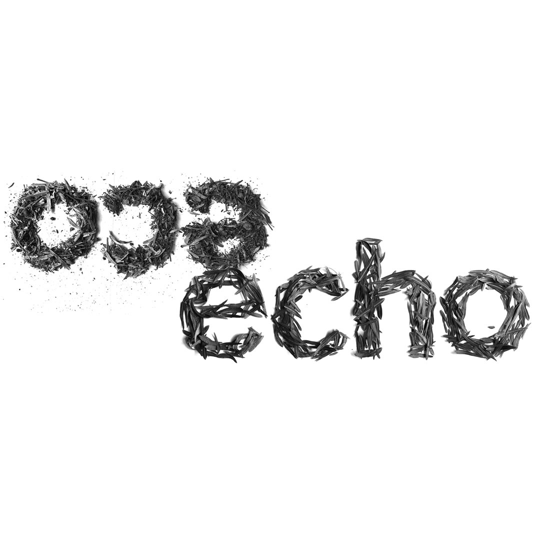 Eco Echo title